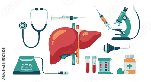 Medical equipment and liver anatomy.