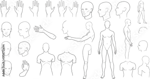 Human Anatomy Drawing Reference Set with Head, Hands, Body Proportions, Poses and Figure Study Sketches for Artists Vector Illustration