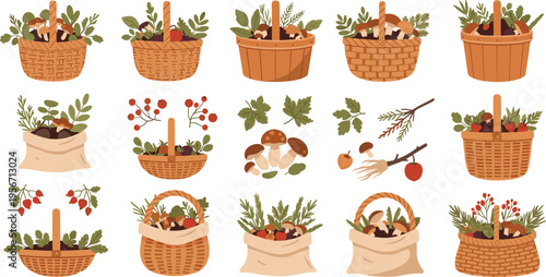 Wicker Baskets And Sacks Filled With Foraged Wild Mushrooms Herbs And Berries Vector Set Featuring Autumn Harvest Elements Botanical Nature Finds And Organic Forest Food
