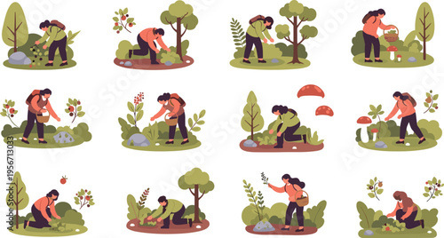 Wild Forest Berries Vector Set Featuring Blueberries Raspberries Cranberries And Red Currants With Green Leaves For Organic Food Packaging Healthy Nutrition And Botanical Nature Design