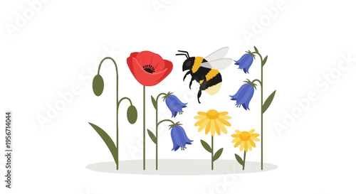 Bumblebee pollinating colorful wildflowers on a white background.