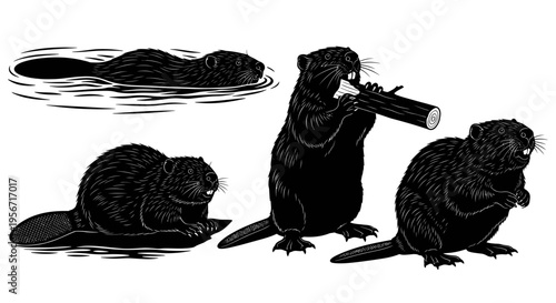 Beaver Family Activities: Swimming, Chewing Log, Sitting on Wood, Standing