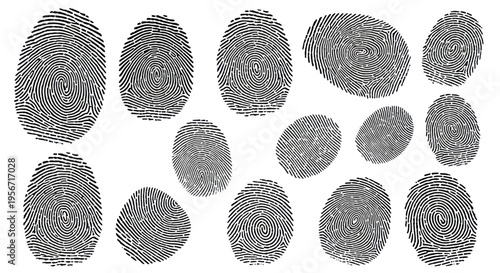 Collection of Black Fingerprint Patterns on White Background - Identity and Security Concept