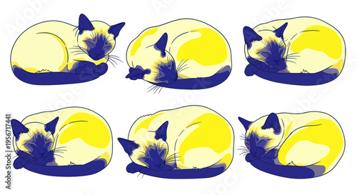 Siamese Cats Sleeping In Different Poses, Illustration