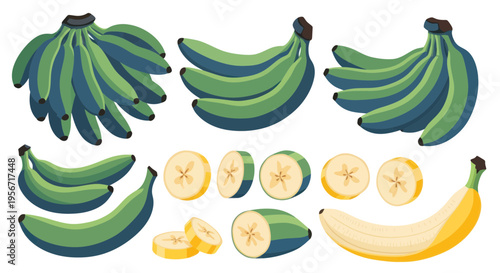 Green and Yellow Bananas Collection: Bunches, Sliced, and Whole Tropical Fruits