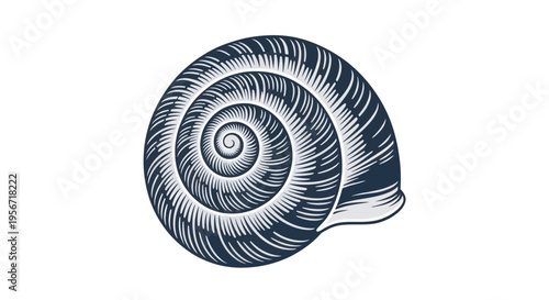Snail Shell Spiral Pattern Isolated on White Background