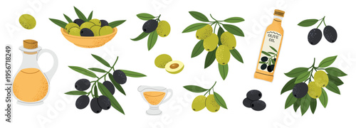 Olive collection with branches, green and black olives, olive oil bottle and bowl. Natural Mediterranean food set. Flat vector illustration isolated on white background.