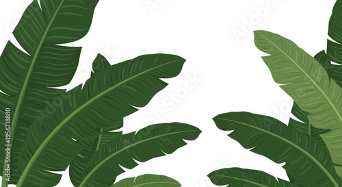 Vibrant Green Banana Leaves Pattern, Tropical Jungle Foliage, Exotic Plant Decor