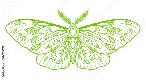 Green Moth Illustration with Floral Wing Pattern, Delicate Insect Art