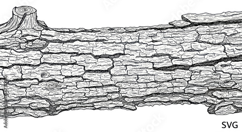 Detailed Line Art Illustration of Rough Tree Bark Texture and Branch