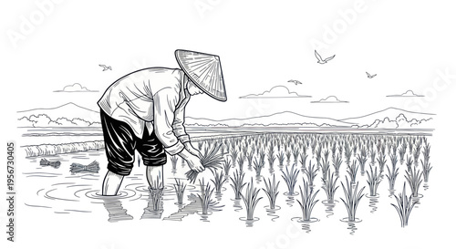 Farmer Planting Rice in Paddy Field, Traditional Agriculture, Asian Landscape