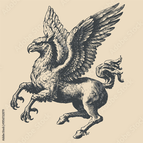 Hippogriff vintage engraving