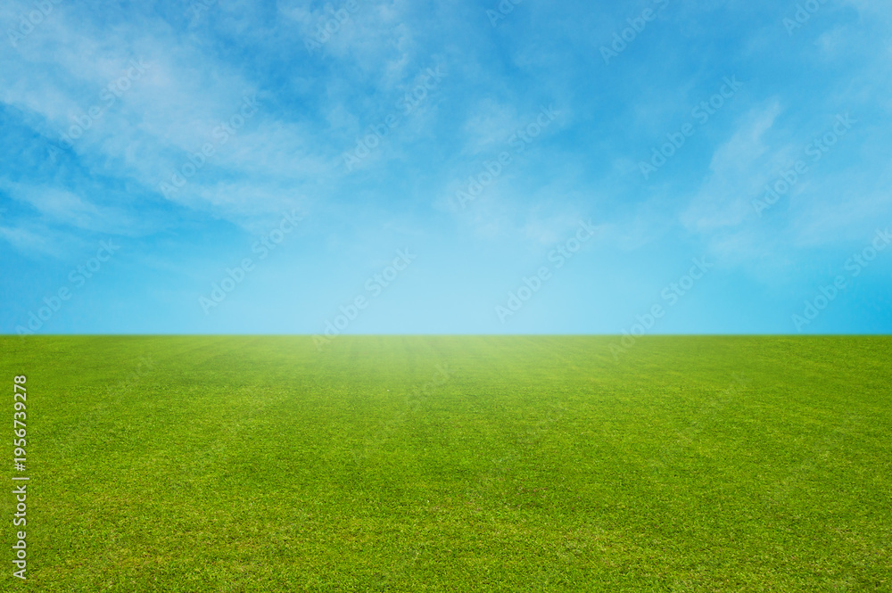 Obraz premium Landscape view of Green Grass Field with Blue Sky and soft white clouds.