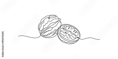 Continuous line drawing of a pair of walnuts walnut nuts food healthy snack art minimalist