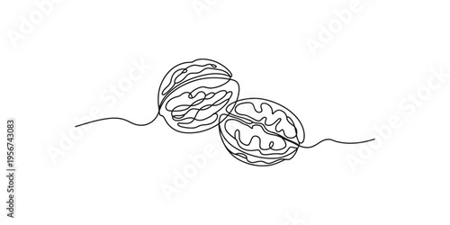 Continuous line drawing of two connected brain hemispheres in one line art illustration minimalist neuroscience