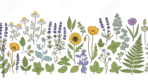 Colorful flowers and green leaves arrangement.