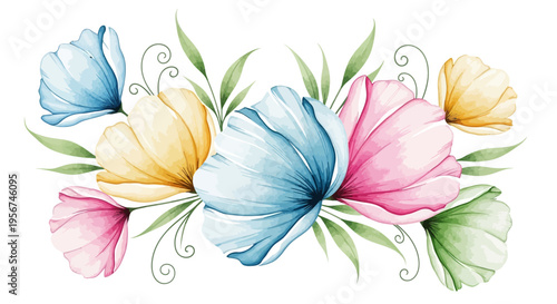 Colorful flowers in bloom petals.