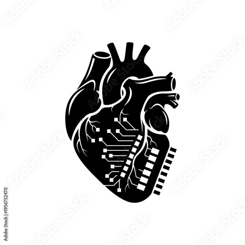 Black and white human heart organ.