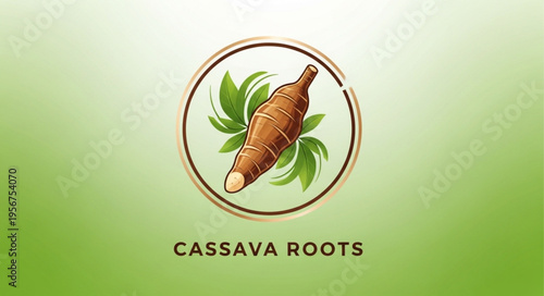 Cassava Root Vegetable.