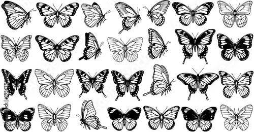 Hand-drawn Black and White Butterfly Collection. Detailed Line Art Insect Set for Nature, Spring, and Graphic Design Projects.