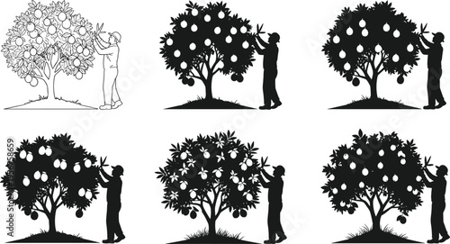 Fruit picking tree collection farmer harvesting orchard agriculture concept silhouette illustration rural lifestyle organic farming design isolated set