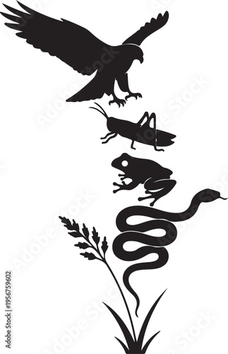A black and white silhouette illustrating a food chain with a plant, grasshopper, frog, snake, and eagle.