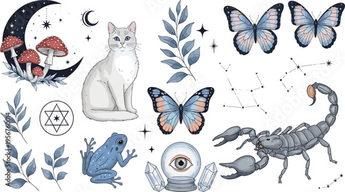 Mystical Witchcraft Nature Vector Set with Cat Butterflies Moon Mushrooms Scorpio Frog Crystal Ball Constellations and Botanical Elements for Magic Illustration Collection Design