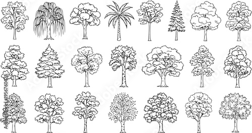 Variety of Tree Illustrations: Detailed Outline Sketches for Nature and Landscaping Design