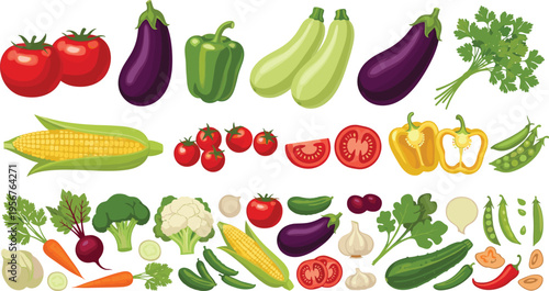 Fresh Vegetable Vector Set with Tomato Eggplant Corn Zucchini Pepper Cucumber Carrot Garlic and Broccoli for Healthy Cooking Ingredient Food Illustration Collection Design