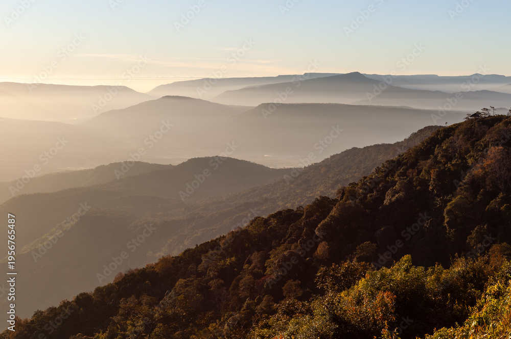 Obraz premium Phu Ruea National Park, Thailand. Misty mountain landscape at sunrise. Layered hills covered in forest. Scenic foggy view from a high vantage point.