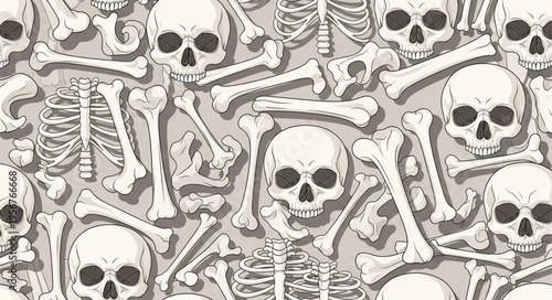 Many white human skull bones.