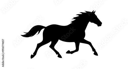 horse, horses, animal, mammal, equine, stallion, mare, pony, farm, ranch, stable, riding, rider, gallop, galloping, run, running, speed, motion, wild, wildlife, nature, countryside, field, grass, mane