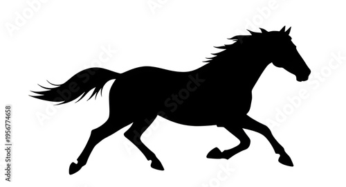 horse, horses, animal, mammal, equine, stallion, mare, pony, farm, ranch, stable, riding, rider, gallop, galloping, run, running, speed, motion, wild, wildlife, nature, countryside, field, grass, mane