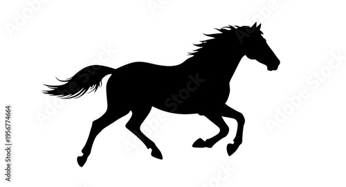 horses, animal, horse, mammal, equine, stallion, mare, pony, farm, ranch, stable, riding, rider, gallop, galloping, run, running, speed, motion, wild, wildlife, nature, countryside, field, grass, mane