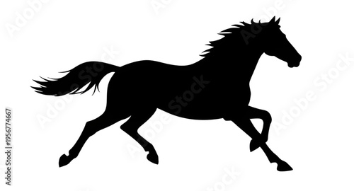 horse, animal, horses, mammal, equine, stallion, mare, pony, farm, ranch, stable, riding, rider, gallop, galloping, run, running, speed, motion, wild, wildlife, nature, countryside, field, grass, mane