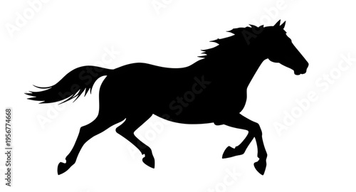 horse, animal, horses, mammal, equine, stallion, mare, pony, farm, ranch, stable, riding, rider, gallop, galloping, run, running, speed, motion, wild, wildlife, nature, countryside, field, grass, mane