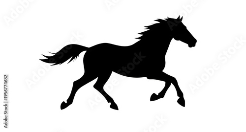 horse, horses, animal, mammal, equine, stallion, mare, pony, farm, ranch, stable, riding, rider, gallop, galloping, run, running, speed, motion, wild, wildlife, nature, countryside, field, grass, mane
