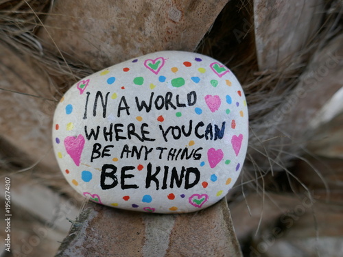 In a world where you can be anything be kind kindness rock on palm tree close-up
