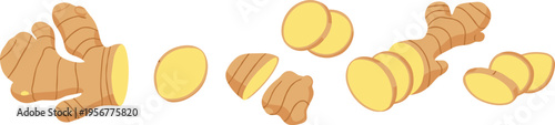 Ginger Root and Slices Vector Illustration Collection with Whole and Cut Pieces for Cooking, Organic Food, Herbal Medicine, and Spice Design Use