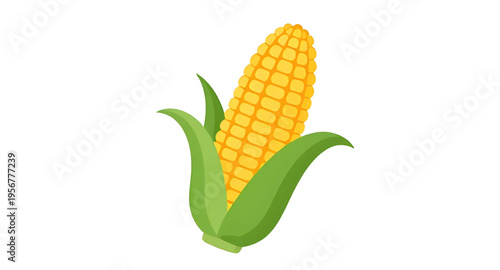 corn, maize, cob, ear, kernel, kernels, husk, leaf, leaves, plant, crop, agriculture, farm, farming, harvest, food, vegetable, fresh, organic, natural, yellow, green, rural, field, grain, cereal, nutr