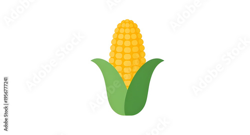 corn, maize, cob, ear, kernel, kernels, husk, leaf, leaves, plant, crop, agriculture, farm, farming, harvest, food, vegetable, fresh, organic, natural, yellow, green, rural, field, grain, cereal, nutr
