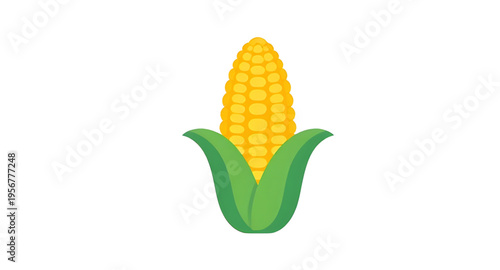 maize, cob, corn, ear, kernel, kernels, husk, leaf, leaves, plant, crop, agriculture, farm, farming, harvest, food, vegetable, fresh, organic, natural, yellow, green, rural, field, grain, cereal, nutr