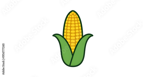 corn, cob, maize, ear, kernel, kernels, husk, leaf, leaves, plant, crop, agriculture, farm, farming, harvest, food, vegetable, fresh, organic, natural, yellow, green, rural, field, grain, cereal, nutr