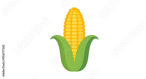 corn, cob, maize, ear, kernel, kernels, husk, leaf, leaves, plant, crop, agriculture, farm, farming, harvest, food, vegetable, fresh, organic, natural, yellow, green, rural, field, grain, cereal, nutr