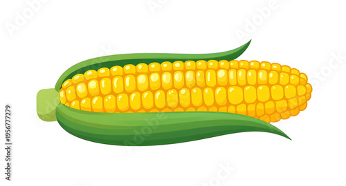 maize, corn, cob, ear, kernel, kernels, husk, leaf, leaves, plant, crop, agriculture, farm, farming, harvest, food, vegetable, fresh, organic, natural, yellow, green, rural, field, grain, cereal, nutr
