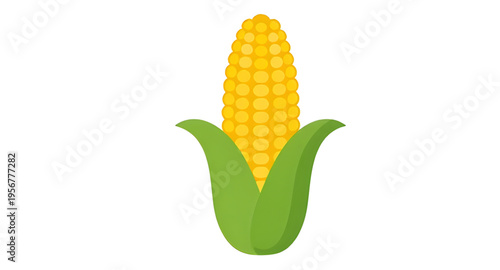 maize, corn, cob, ear, kernel, kernels, husk, leaf, leaves, plant, crop, agriculture, farm, farming, harvest, food, vegetable, fresh, organic, natural, yellow, green, rural, field, grain, cereal, nutr