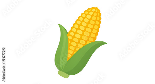 corn, maize, cob, ear, kernel, kernels, husk, leaf, leaves, plant, crop, agriculture, farm, farming, harvest, food, vegetable, fresh, organic, natural, yellow, green, rural, field, grain, cereal, nutr
