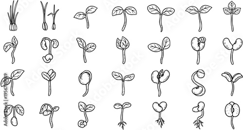 Collection of hand-drawn plant sprouts and germinating seedlings icons, showing different stages of growth in black and white line art, for nature, gardening, or educational themes.