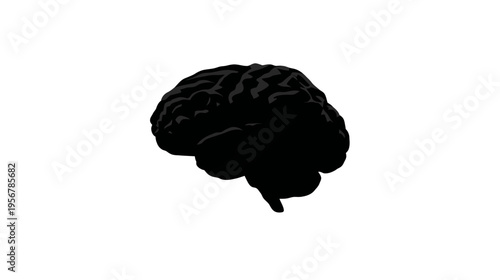 Silhouetted illustration of a human brain in solid black against a clean, white background