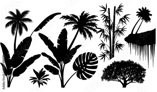 Black tropical foliage silhouette collection with palm banana bamboo monstera and banyan leaves for jungle design
